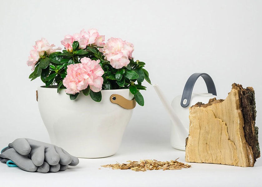 Get Ready for Pink Pantsuit Nation